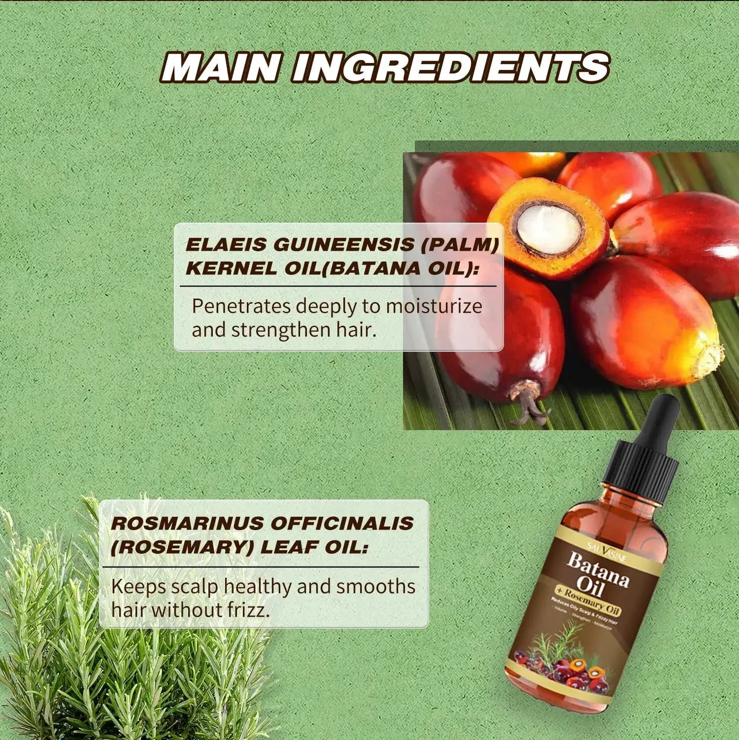 Batana Oil with Rosemary for Hair Growth Nourish Scalp Detox for Strong Healthy Hair Organic from Reduce Hair Loss Your Scalp