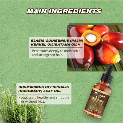 Batana Oil with Rosemary for Hair Growth Nourish Scalp Detox for Strong Healthy Hair Organic from Reduce Hair Loss Your Scalp